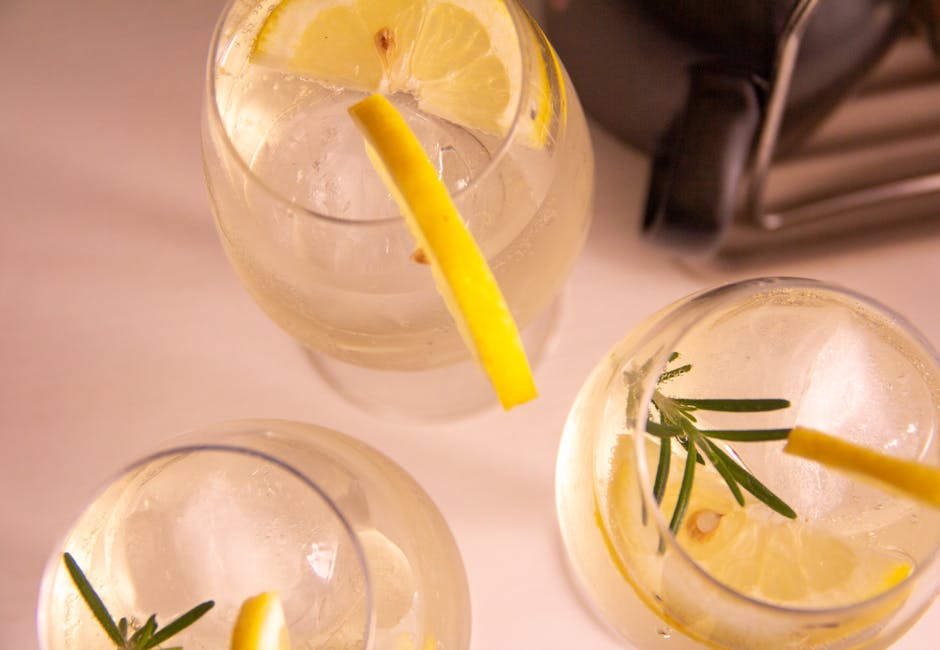 Citrus Gin Fizz